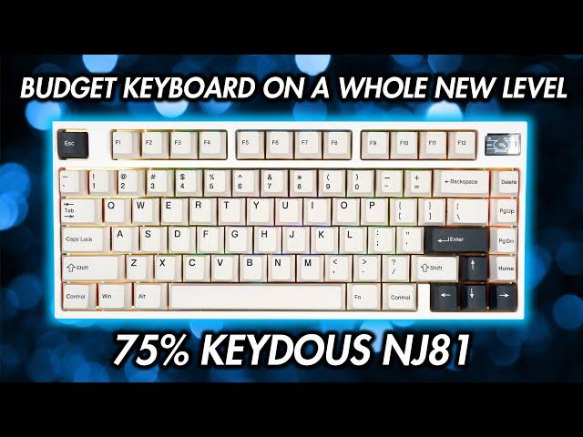 Keydous NJ81 Review - A Top Tier Entry Level Keyboard with a Screen!