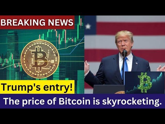 Trump Re-Enters!  Bitcoin Price Skyrockets – Latest Updates | M Focus News