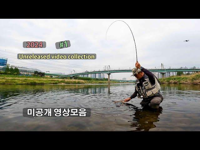 잉어 플라이낚시 미공개 1편 - 2024 Carp fly fishing Unreleased video collection