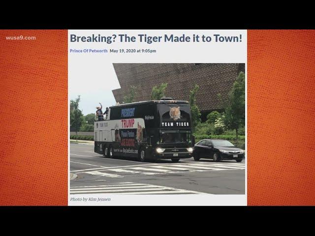 Tiger King White House: Team Tiger bus spotted in DC | Most DC Thing