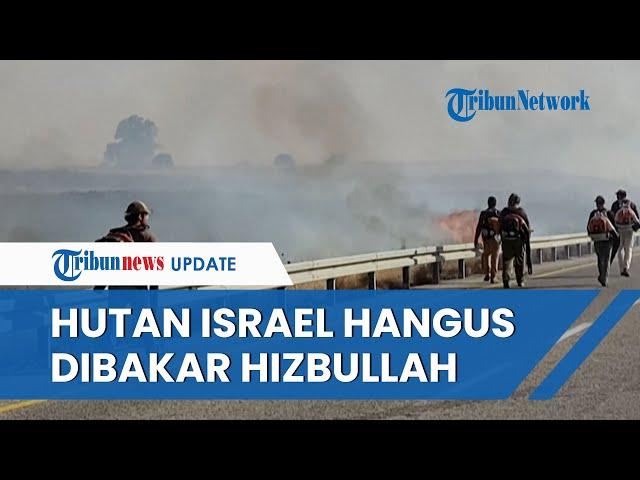 Rangkuman Hamas-Israel: Ribuan Hektar Hutan Israel Terbakar, Houthi Perdana Pakai Rudal 'Palestina'