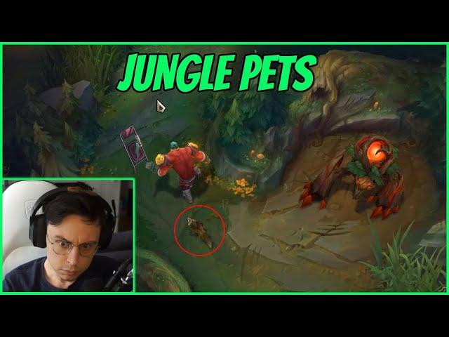 Caedrel Reacts To 2023 Jungle Changes | JUNGLE PETS