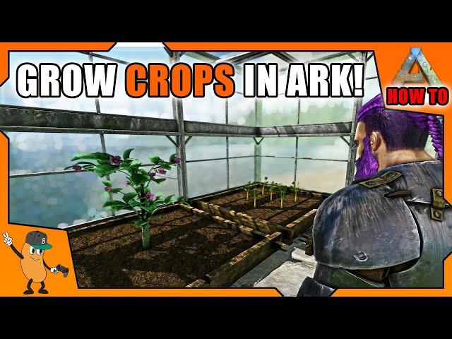 BEST WAY TO GROW CROPS IN ARK | Beginners guide | [How To Ark]