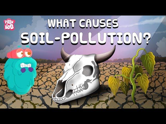 What Is SOIL POLLUTION | LAND POLLUTION | What Causes Soil Pollution | Dr Binocs Show |Peekaboo Kidz