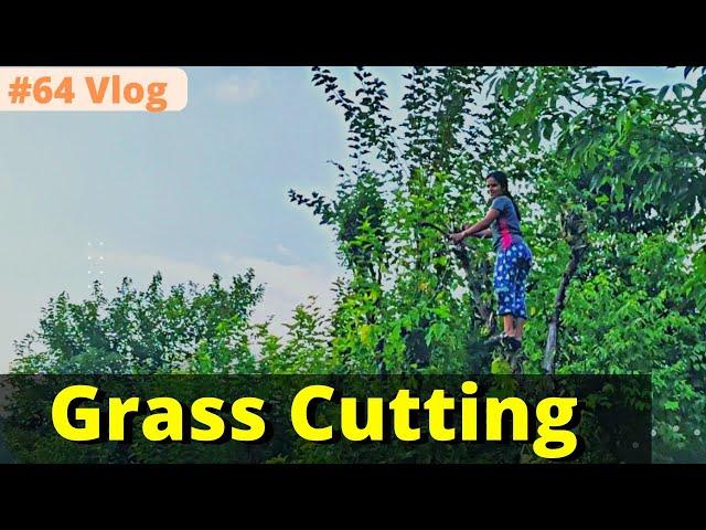 Grass Cutting in village #64 Vlog