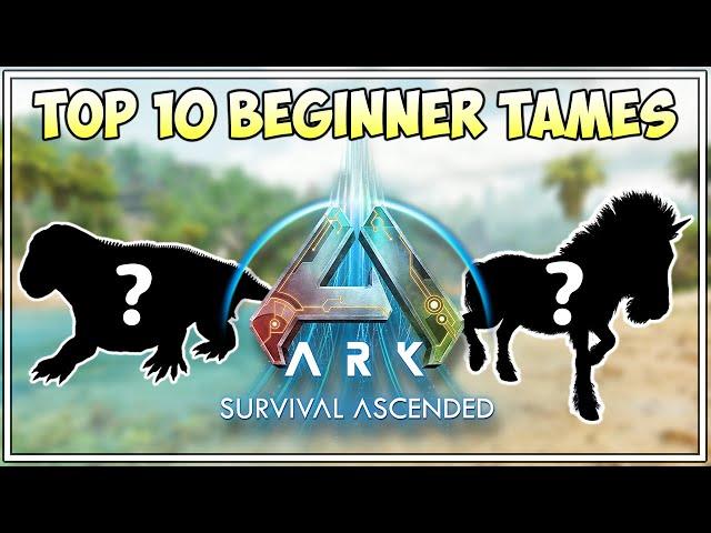 TOP 10 BEGINNER TAMES | ARK SURVIVAL ASCENDED