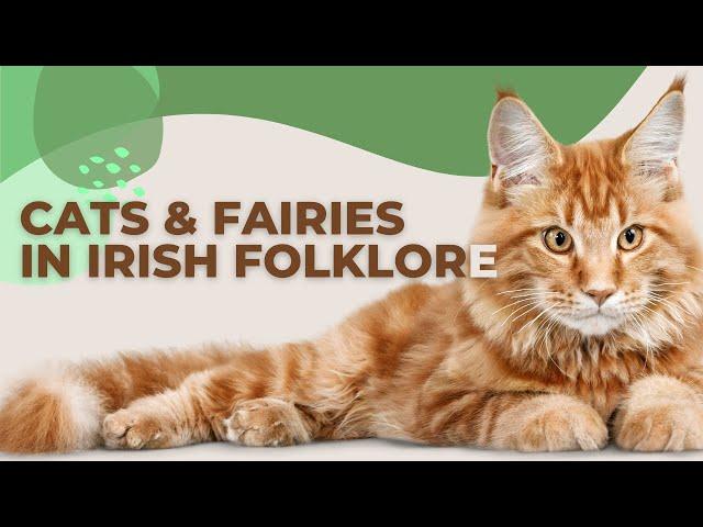 Bewitching Tales of Cats and Fairies in Irish Folklore 