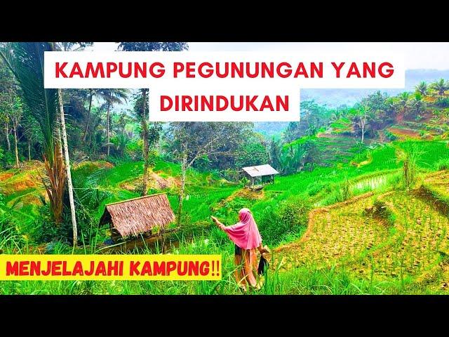 EXPLORING THE RICE FIELDS IN THE MOUNTAINS OF WEST JAVA ‼️ The Sunda Mountain Village Atmosphere