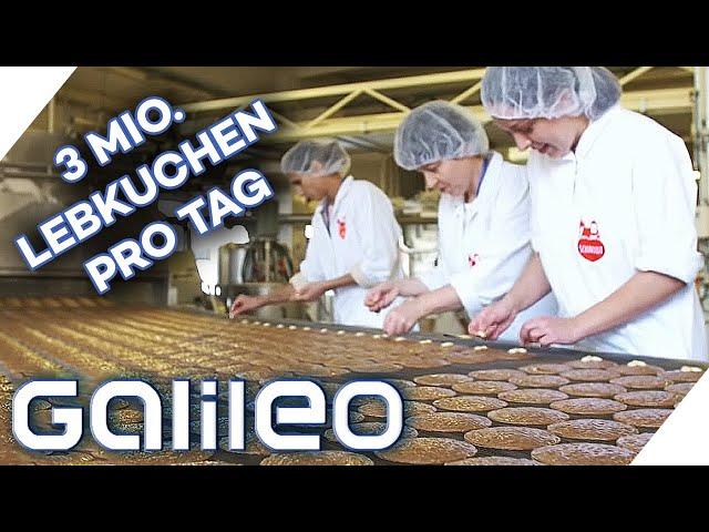 Es ist Lebkuchenzeit! Massenprodukt oder handgefertigt, was schmeckt besser?| Galileo | ProSieben |