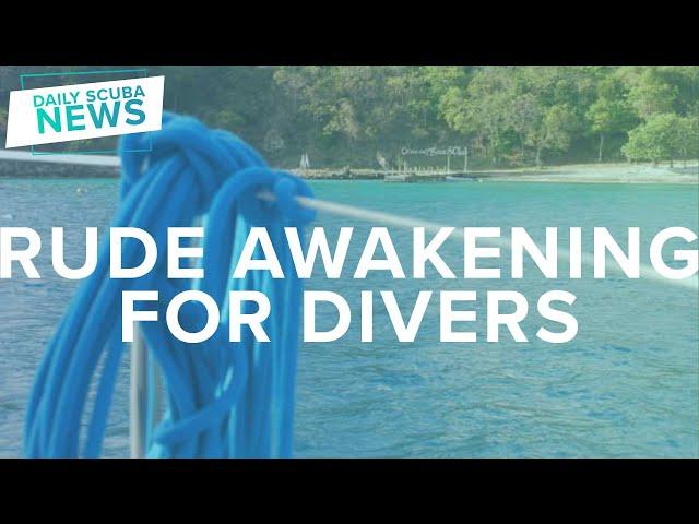 Rude Awakening For Divers | Daily Scuba News (W/ Mark)