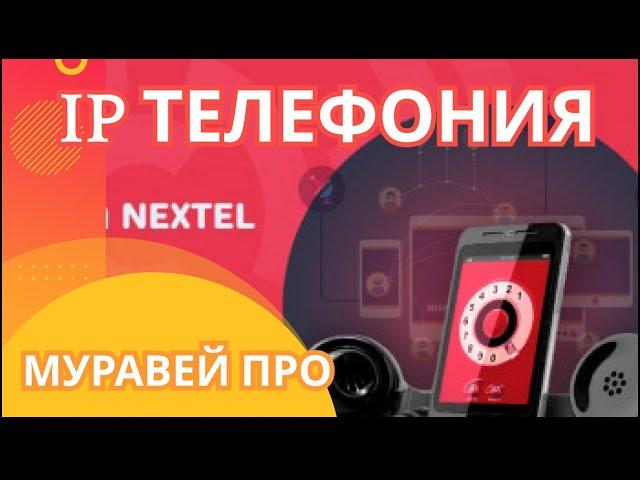 IP sip телефония что это такое, как работает, как подключить, настройка, установка и принцип работы