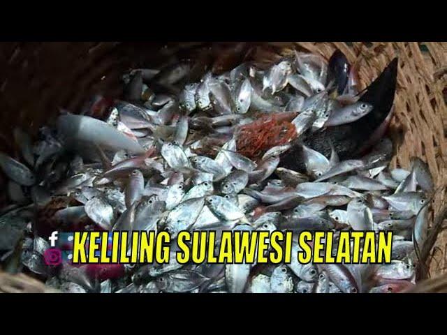 [FULL] KELILING SULAWESI SELATAN | JEJAK ANAK NEGERI (24/11/22)