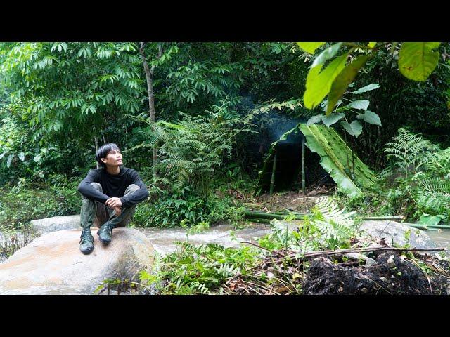 7 DAYS SOLO SURVIVAL CAMPING: (NO FOOD, NO WATER, NO SHELTER) EEL TRAP, CATCH & COOK