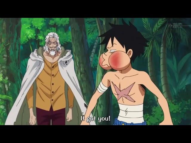 Luffy's training in two years time skip English Sub