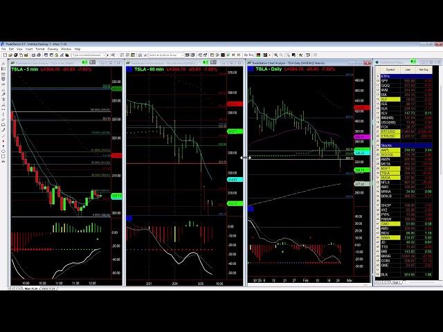 Downside Targets for TSLA