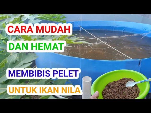 CARA MUDAH DAN HEMAT MEMBIBIS PELET UNTUK IKAN NILA DAN IKAN LAINNYA