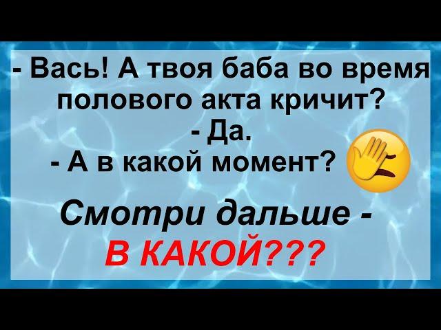 Мир приколов и анекдотов! Свежие анекдоты 2023! Подборка приколов!