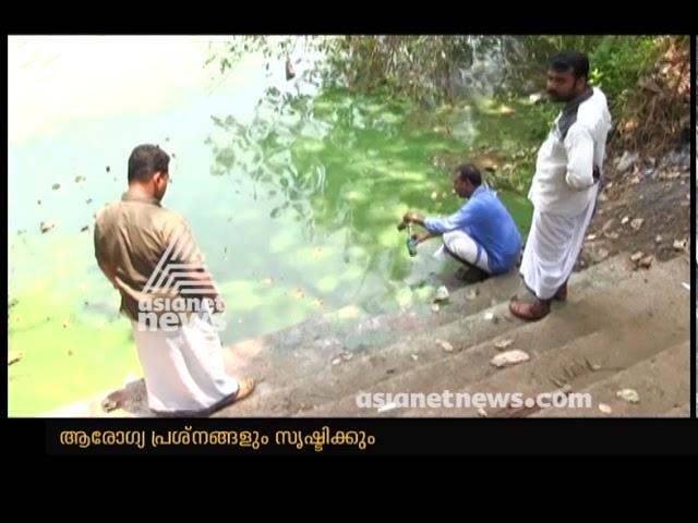 Blue-green algae found in Chaliyar River : ചാലിയാര്‍ പുഴയിലേത് ബ്ലൂ ഗ്രീന്‍ ആല്‍ഗയെന്നു സംശയം