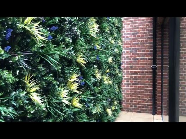 basement lightwell in hampstead