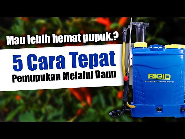 MAU LEBIH HEMAT PUPUK? 5 CARA TEPAT PEMUPUKAN MELALUI DAUN.