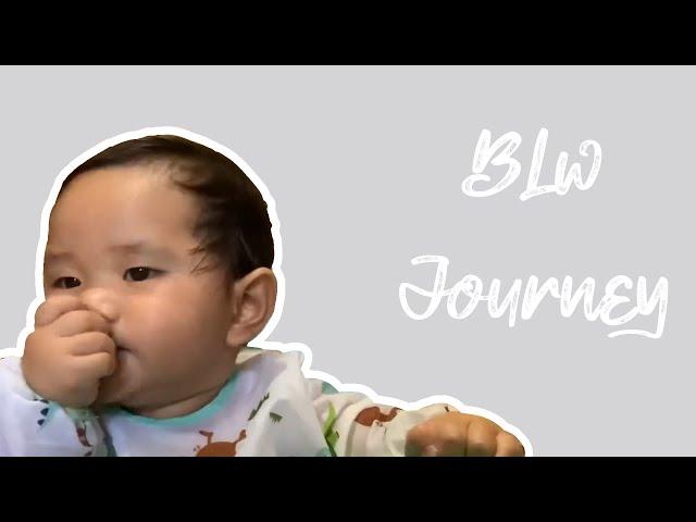 Rasuf's BLW Journey @ 7 months