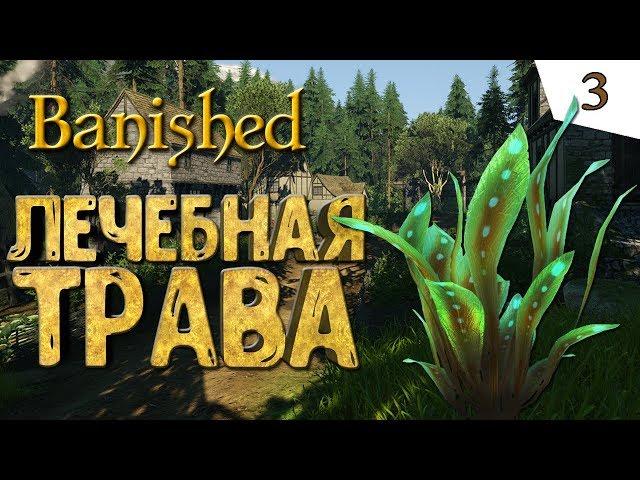 ЛЕЧЕБНАЯ ТРАВА #3 Banished прохождение на русском