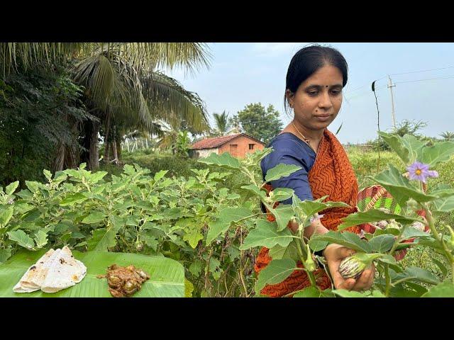 Village Style Ennegayi Akki Roti|Village Style Ennegayi|Village Style Roti|Family Traditional Life