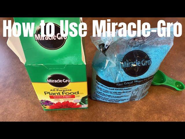 How to Use Miracle-Gro