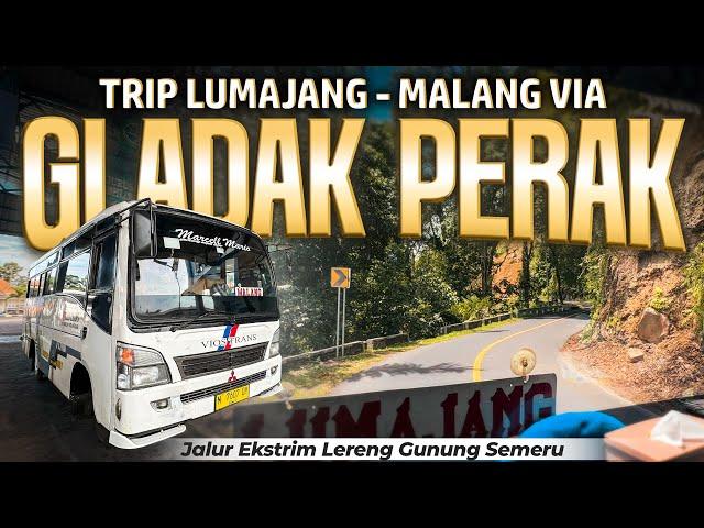 RUTE BUS GOKIL! Melewati Lereng Gunung Tertinggi di Pulau Jawa! Lumajang Malang via Piket Nol