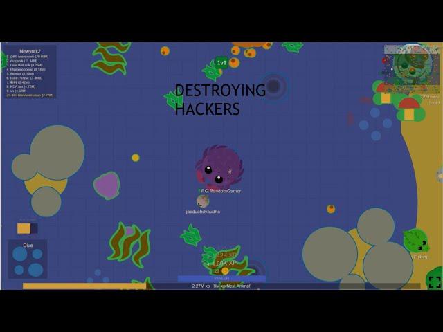 BEST MOMENTS FROM THE RARE HACK! // I KILL HACKERS IN MOPE IO!