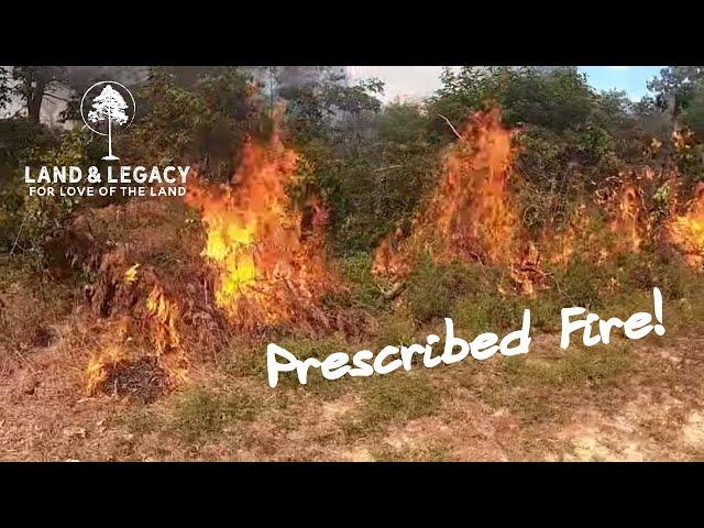 Prescribed Fire - Improving Habitat in the Summer Heat