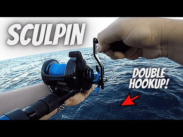 Best RIGS & BAIT For Sculpin (SURPRISE CATCHES & LIMITS!!!)