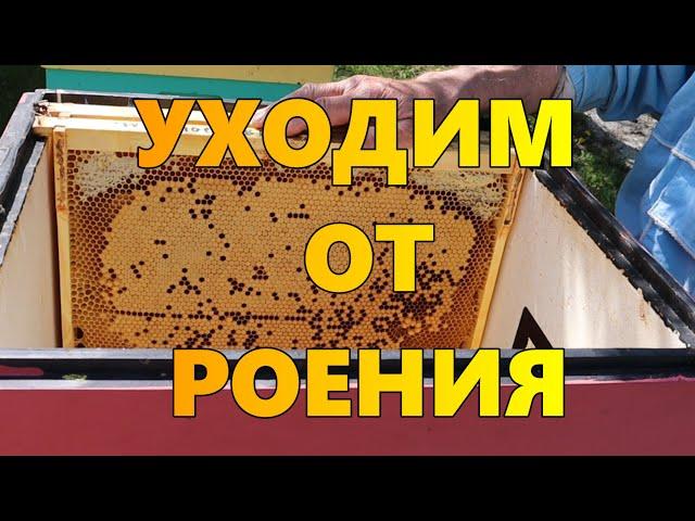 Уходим от роения.