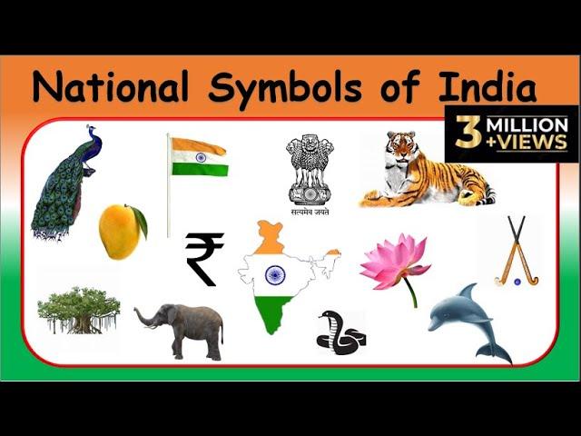 Learn National Symbols of India| National Symbols for Kids in English| Kids Pre School