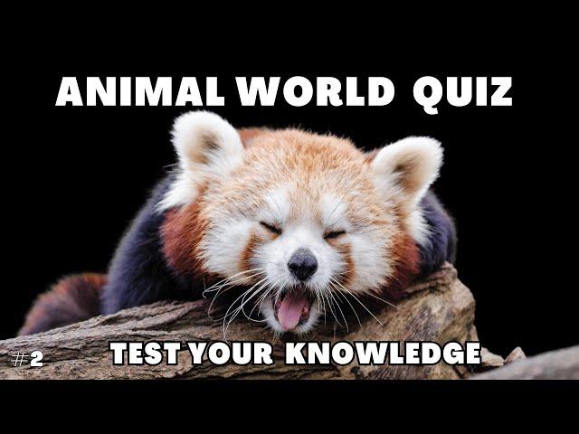 Animal World Quiz - For Animal Lovers | No.2