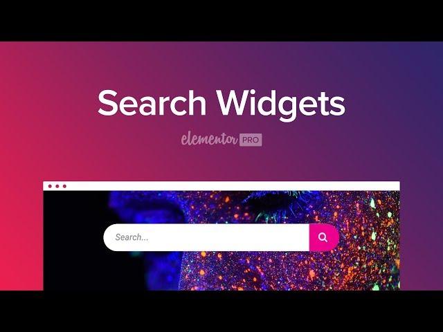 Introducing The Search Widget