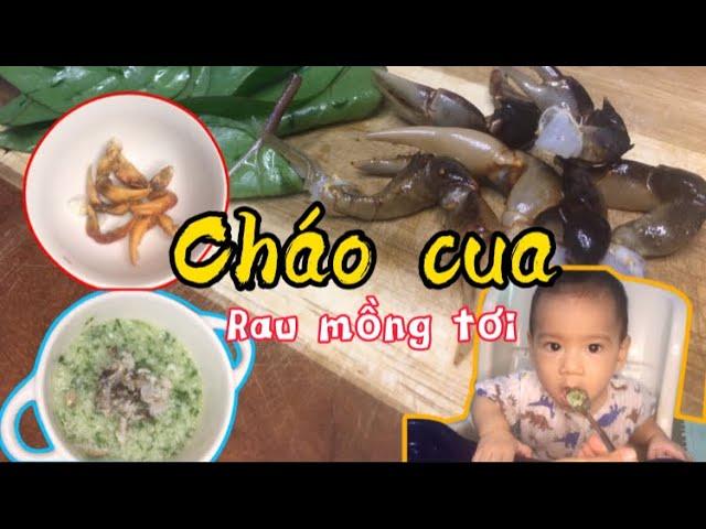 Cháo cua đồng rau mồng tơi cho bé bắt đầu ăn dặm | Thực đơn ăn dặm