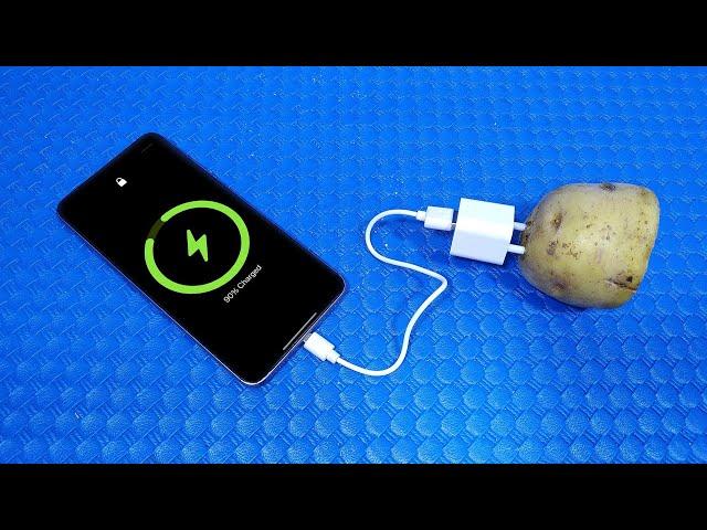 How to generate free electricity with potato (charge your phone) | Simple Tips