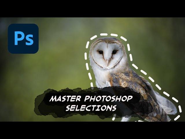 A Beginners Guide |  Master Photoshop Selections In 10 Easy Lessons
