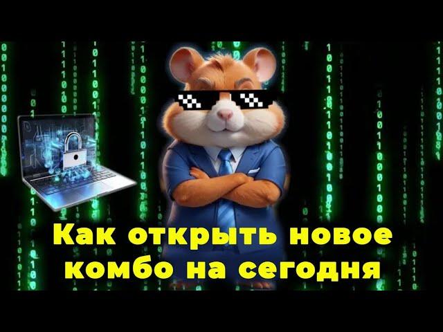 Как открыть три комбо карты на 22 июня в Hamster Kombat новичкам. новое комбо в хамстер комбат