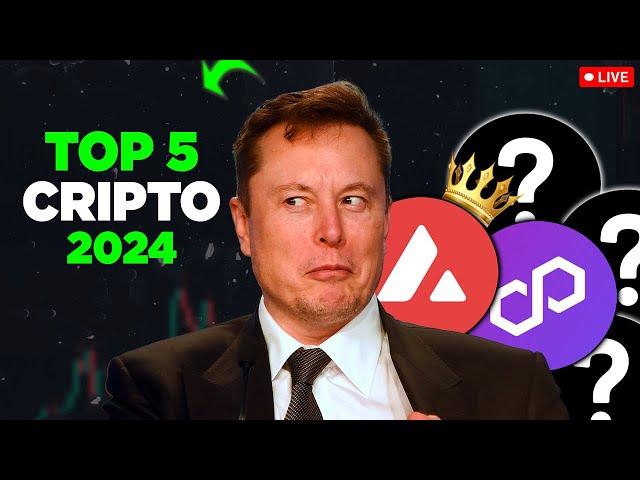 Top 5 Cripto Para Investir Em 2024