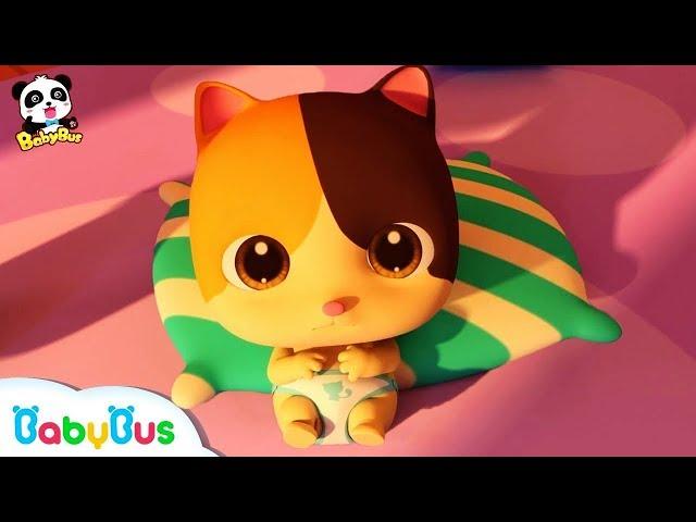 Bayi Kucing Super Lucu & Imut | Lagu Anak & Kartun Anak | Bahasa Indonesia | BabyBus