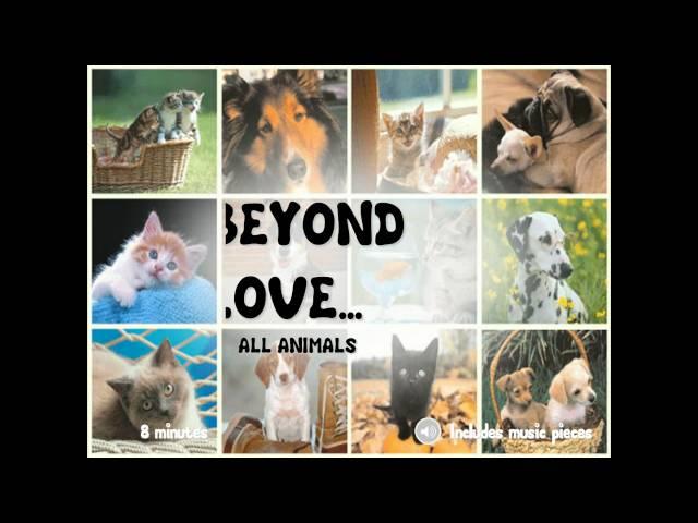 Beyond Love To All Animals