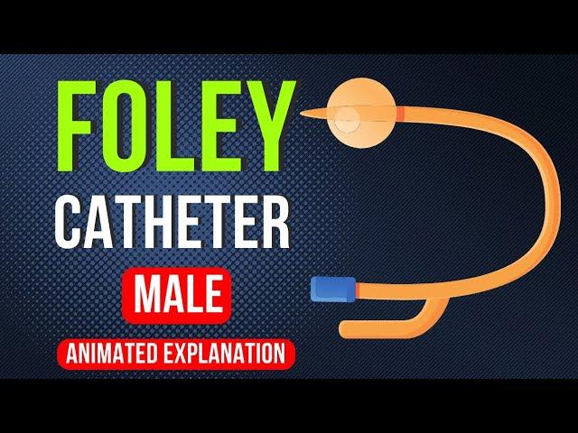  URINARY CATHETER (FOLEY) INSERTION/REMOVAL | MALE | NURSING | ANIMATION