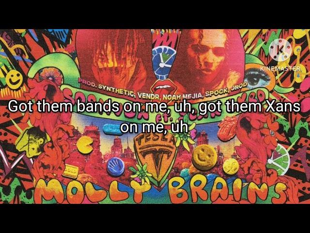 SosMula x Synthetic - MOLLY BRAINS (lyrics) ft. Scarlxrd