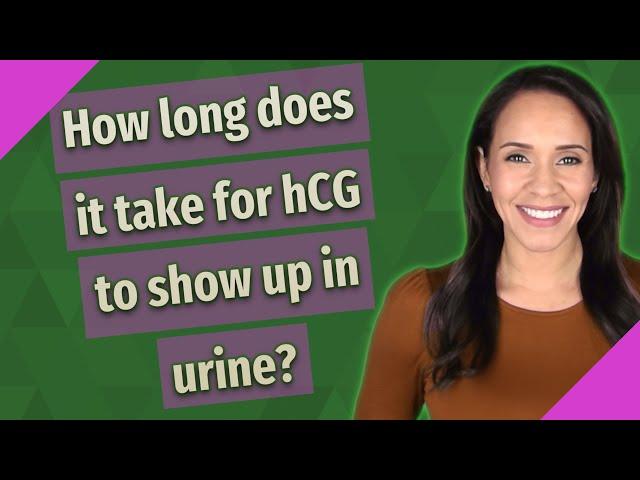 How long does it take for hCG to show up in urine?