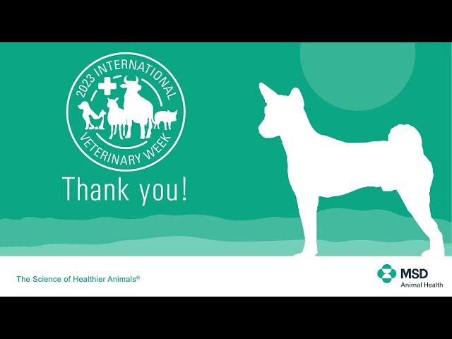 MSD Vet Appreciation video