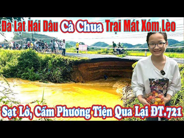 Đà Lạt Hái Dâu Xóm Lèo, Sạt Lở Ngăn Cách Giao Thông DT.721