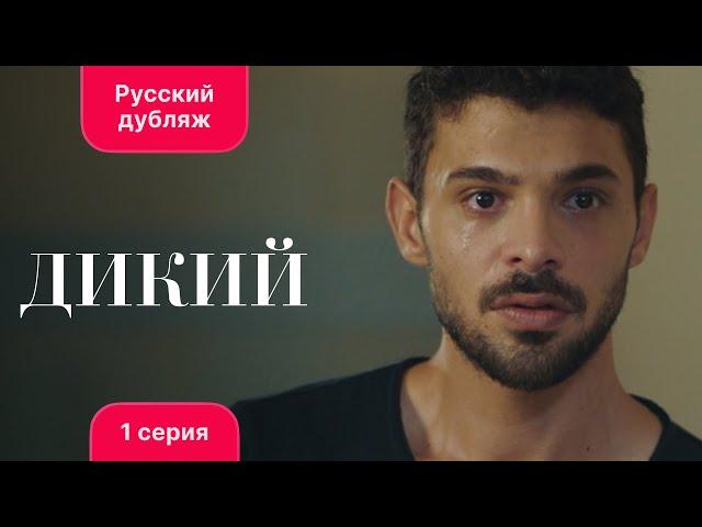 Сериал Дикий — 1 серия (русский дубляж)