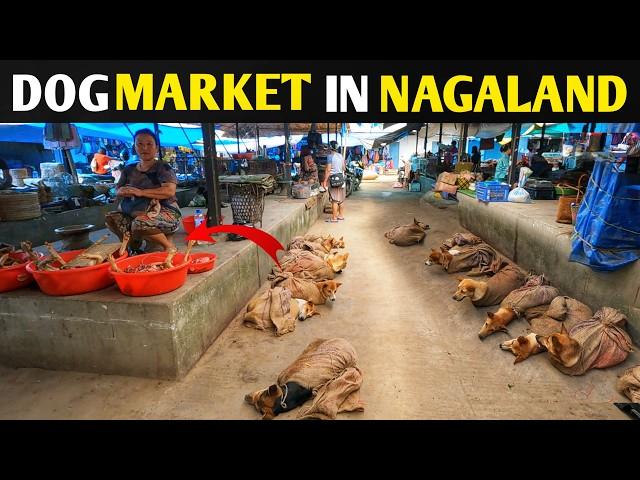 Dimapur Dog Meat Market | नागालैंड का खाना आपके होश उड़ा देगा | TRIBAL Market of NAGALAND 2024